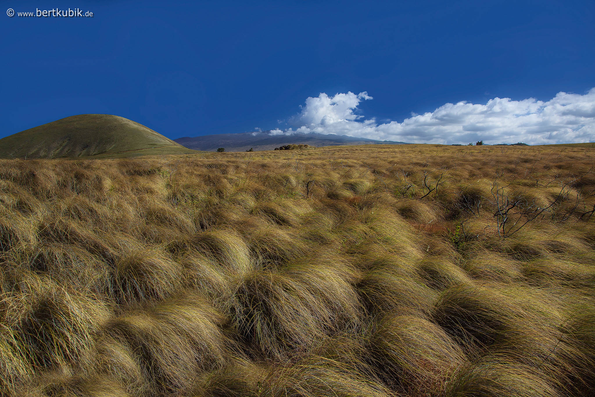 Landschaft · Kanarische Inseln · Zweitausender — Foto Bert Kubik